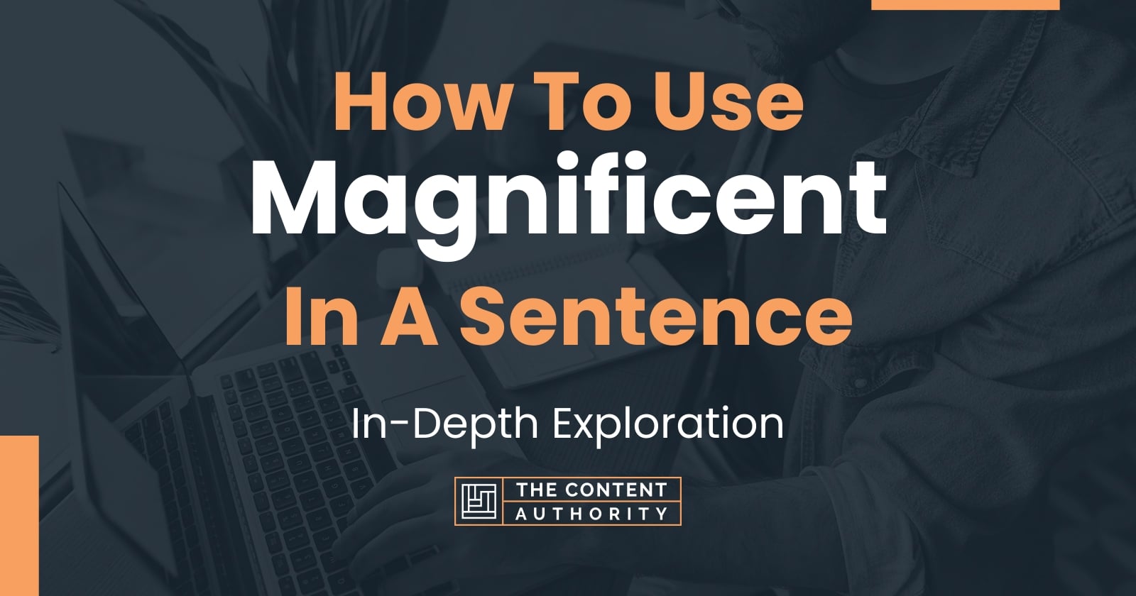 How To Use "Magnificent" In A Sentence InDepth Exploration