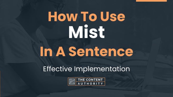 put mist in a sentence