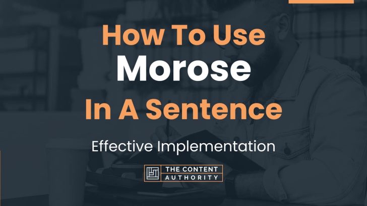 how-to-use-morose-in-a-sentence-effective-implementation