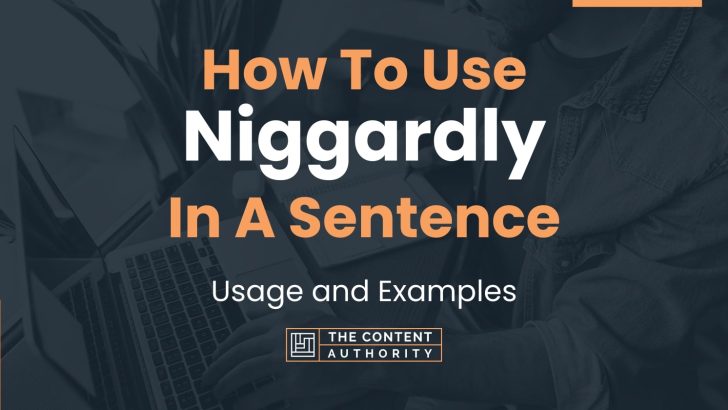 How To Use “Niggardly” In A Sentence: Usage and Examples