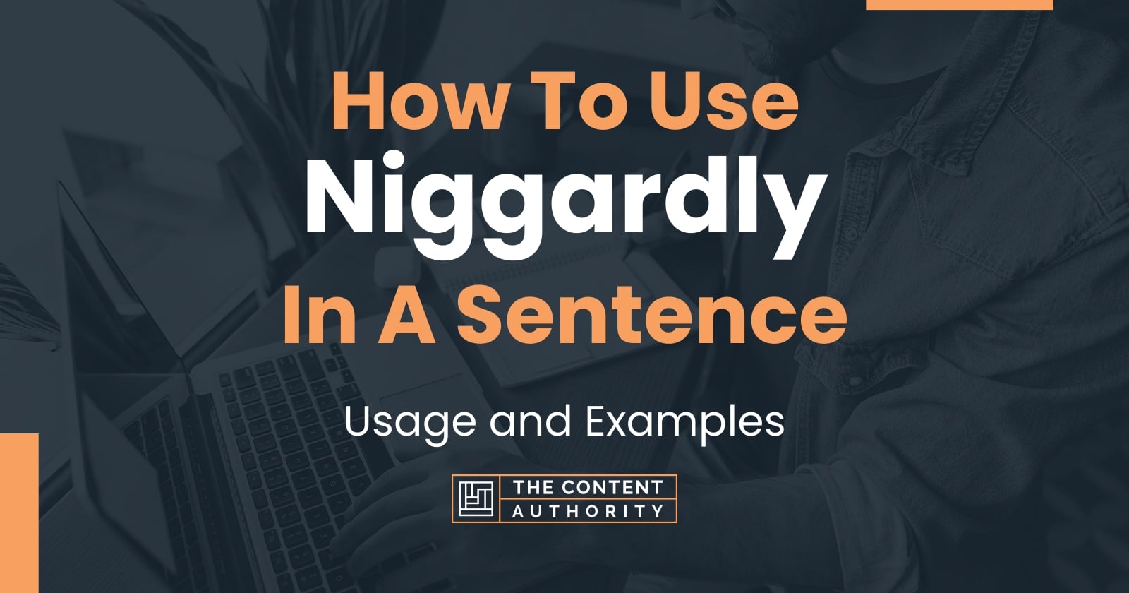 How To Use "Niggardly" In A Sentence: Usage and Examples