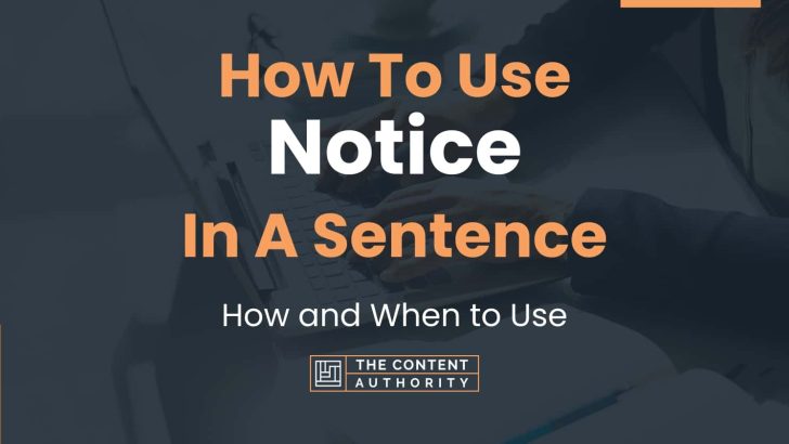 How To Use “Notice” In A Sentence: How and When to Use