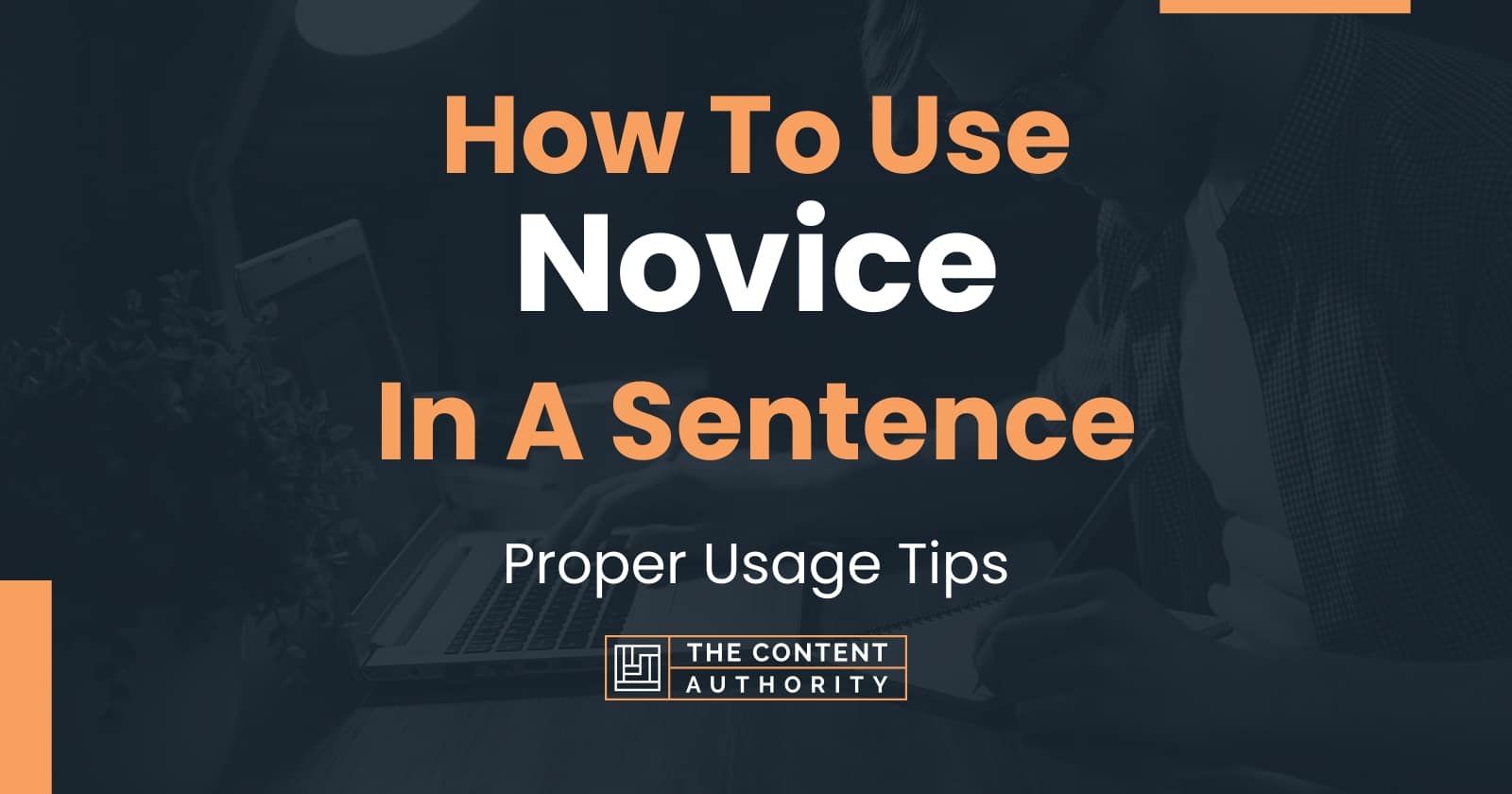 Use Novice In A Sentence