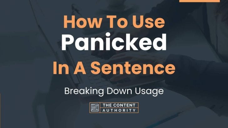 how-to-use-panicked-in-a-sentence-breaking-down-usage