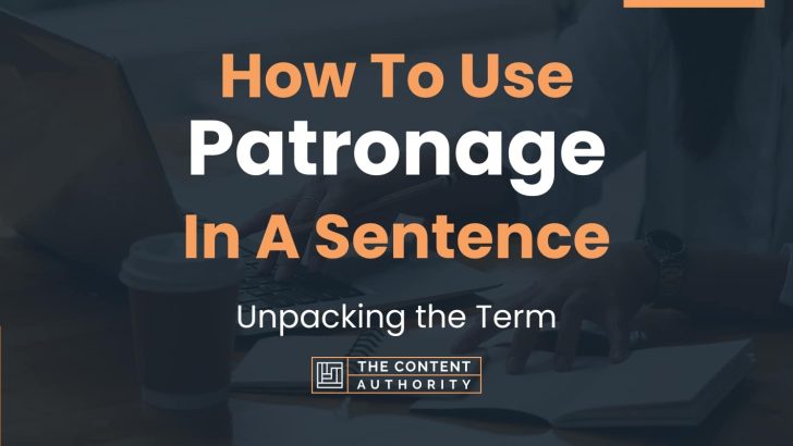 how-to-use-patronage-in-a-sentence-unpacking-the-term