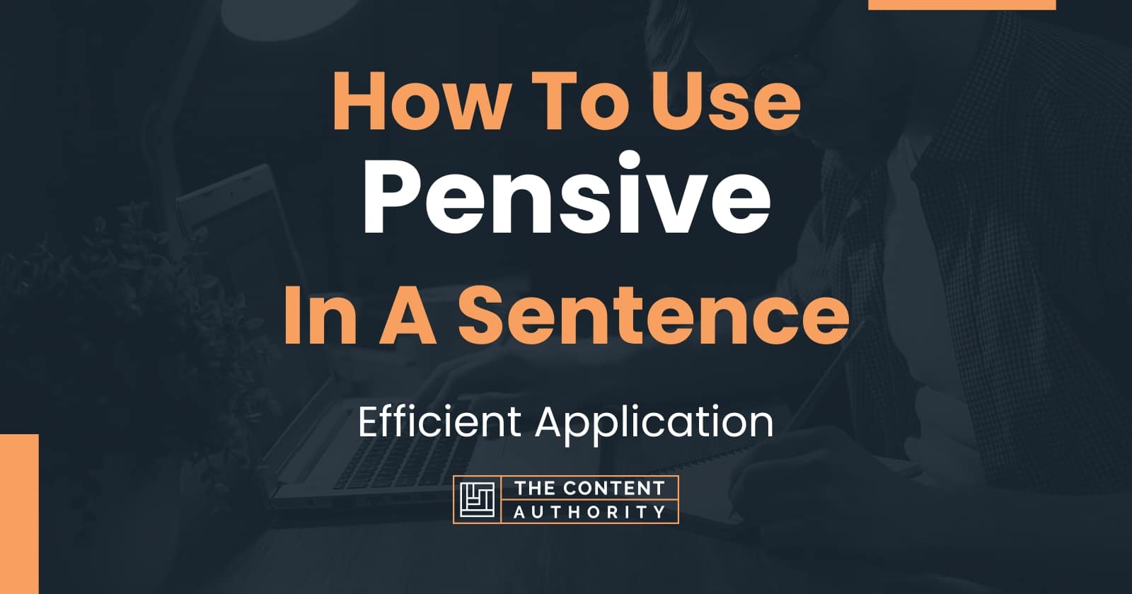 how-to-use-pensive-in-a-sentence-efficient-application