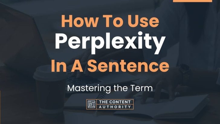 How To Use “Perplexity” In A Sentence: Mastering the Term