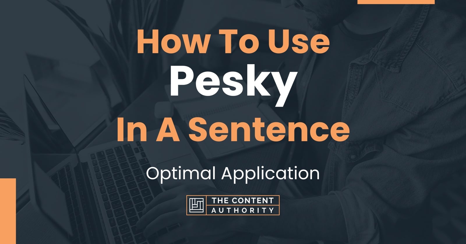 how-to-use-pesky-in-a-sentence-optimal-application