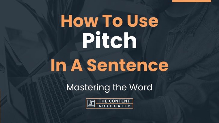 Use Pitch In A Sentence