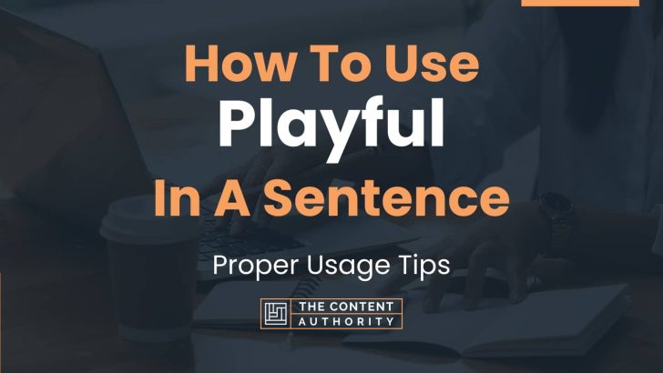 How To Use Playful In A Sentence Proper Usage Tips