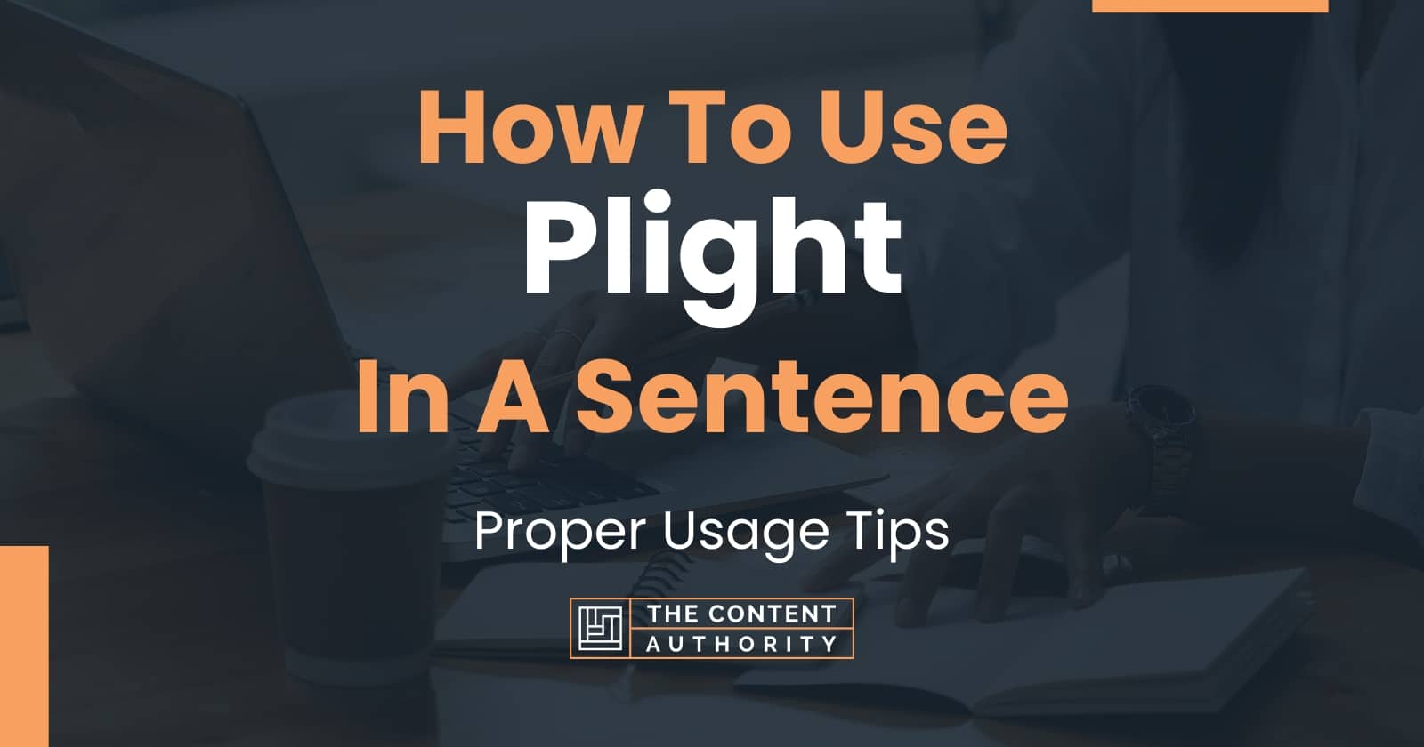 how-to-use-plight-in-a-sentence-proper-usage-tips