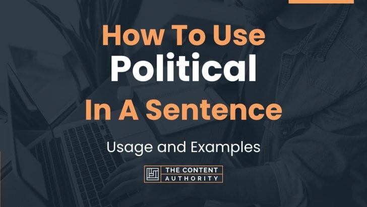 how-to-use-political-in-a-sentence-usage-and-examples