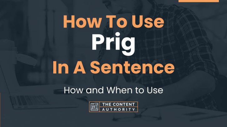 How To Use “Prig” In A Sentence: How and When to Use
