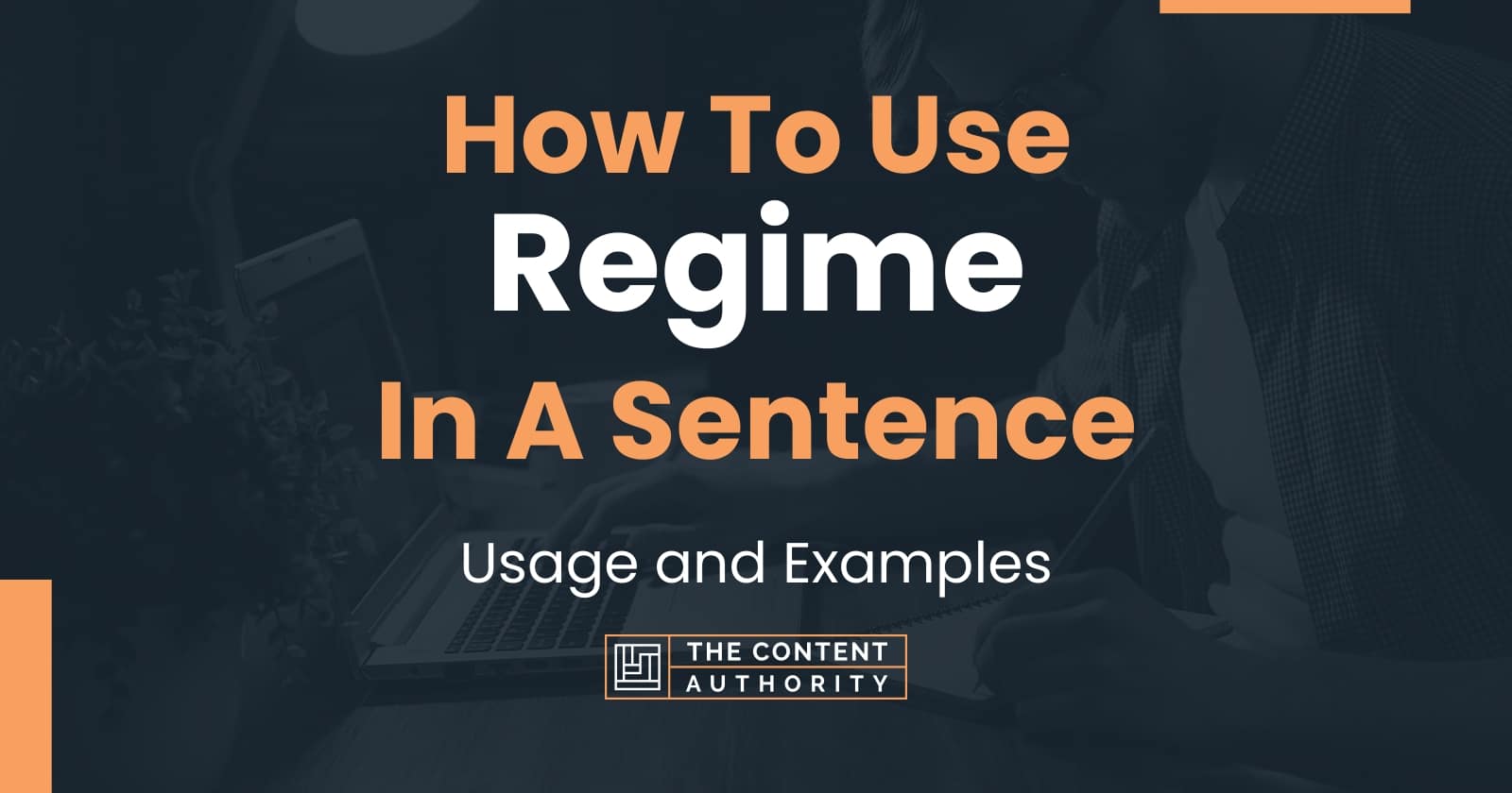 how-to-use-regime-in-a-sentence-usage-and-examples