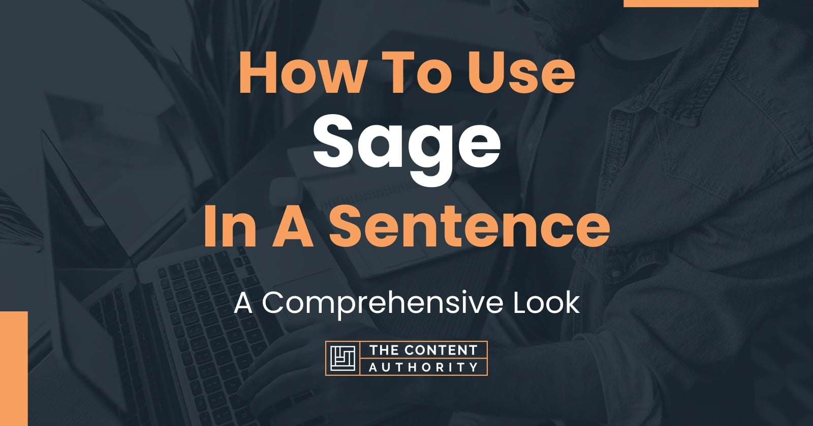 how-to-use-sage-in-a-sentence-a-comprehensive-look