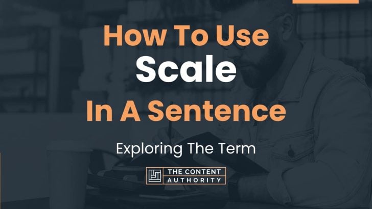 How To Use Scale In A Sentence Exploring The Term