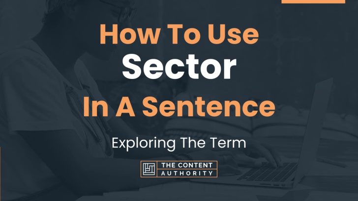 How To Use “Sector” In A Sentence: Exploring The Term