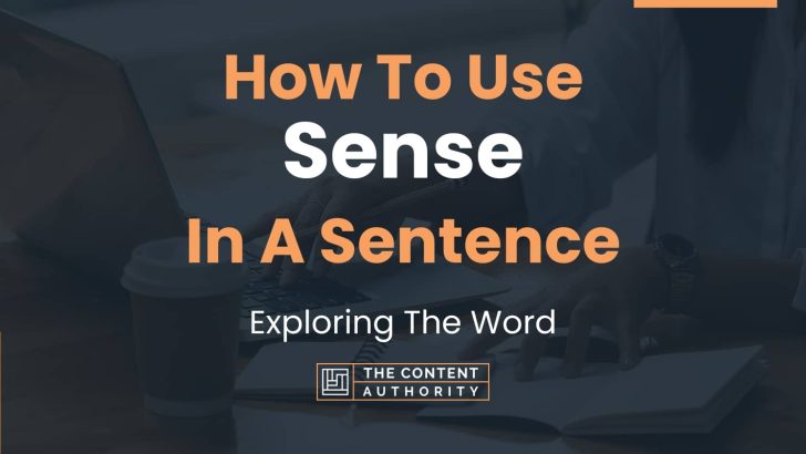 how-to-use-sense-in-a-sentence-exploring-the-word