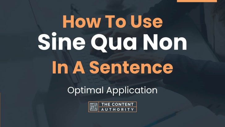 how-to-use-sine-qua-non-in-a-sentence-optimal-application