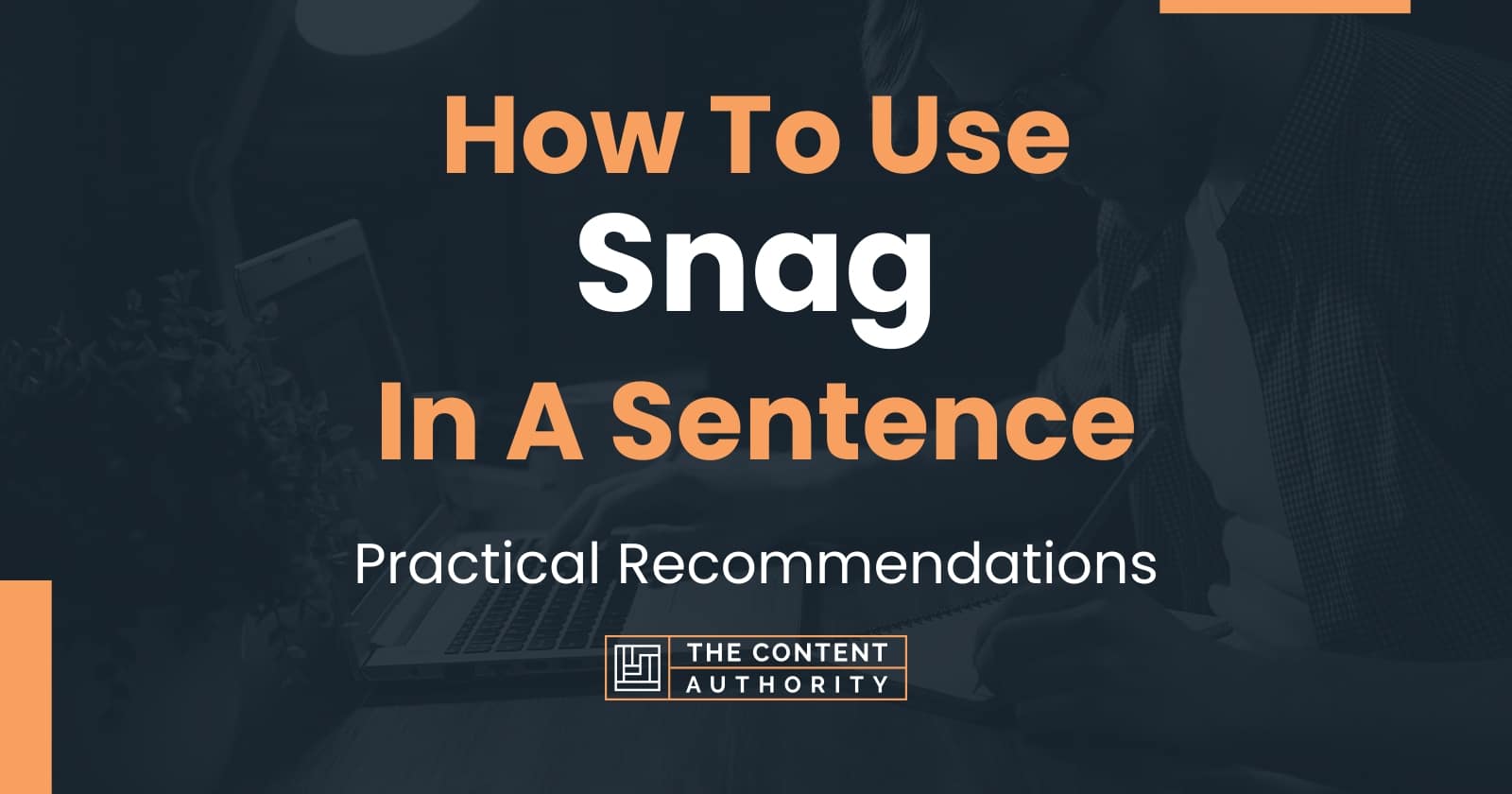 How To Use "Snag" In A Sentence Practical