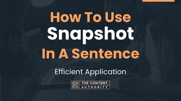 How To Use “Snapshot” In A Sentence: Efficient Application