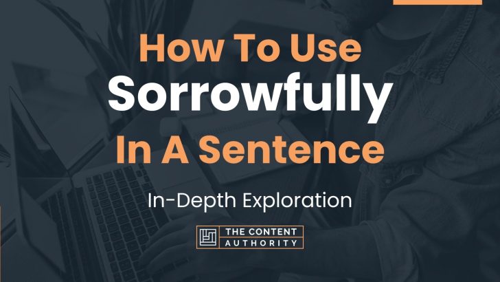 how-to-use-sorrowfully-in-a-sentence-in-depth-exploration