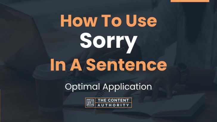 how-to-use-sorry-in-a-sentence-optimal-application