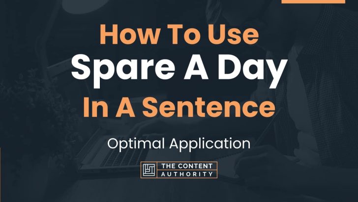 How To Use “Spare A Day” In A Sentence: Optimal Application