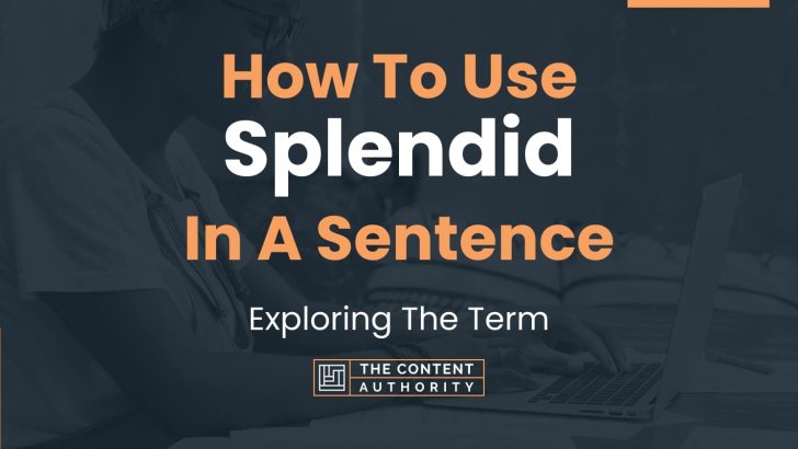 how-to-use-splendid-in-a-sentence-exploring-the-term