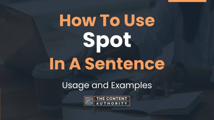 How To Use “Spot” In A Sentence: Usage and Examples