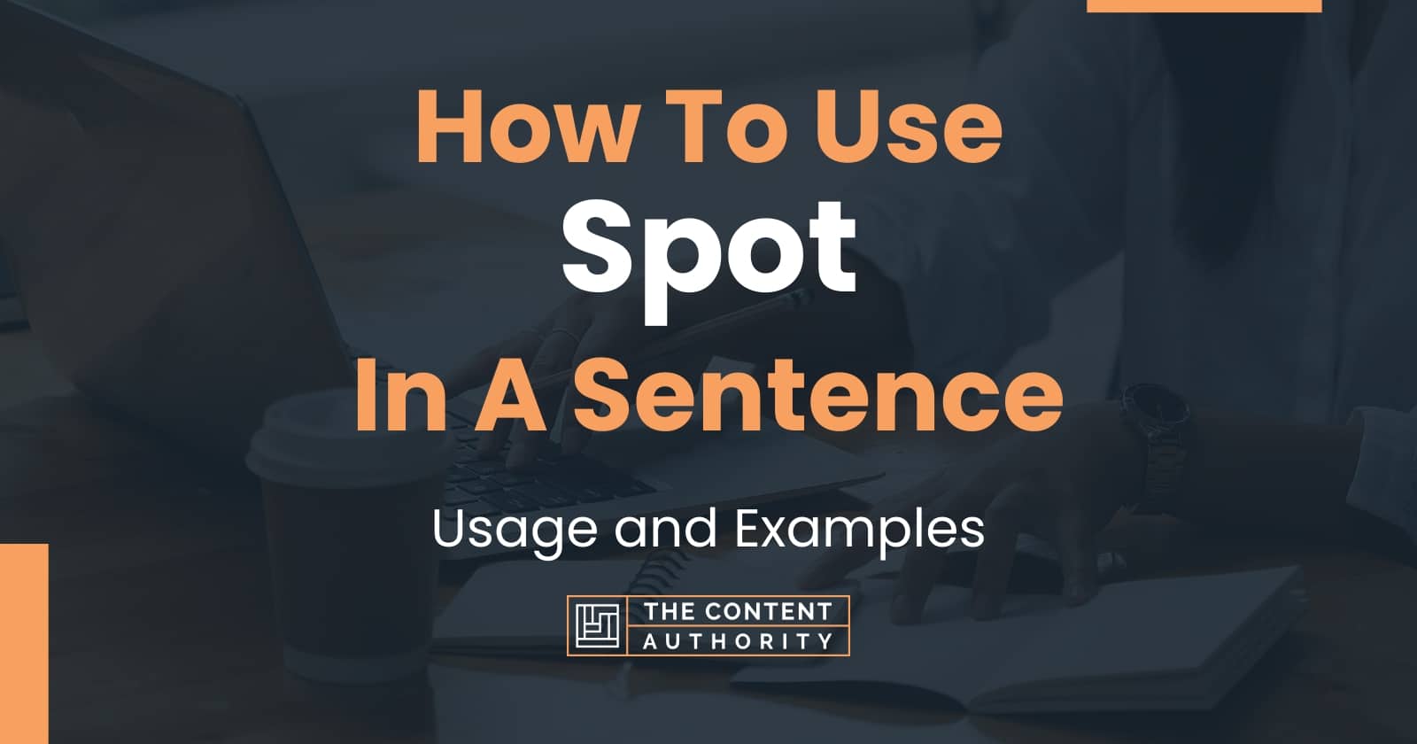 how-to-use-spot-in-a-sentence-usage-and-examples