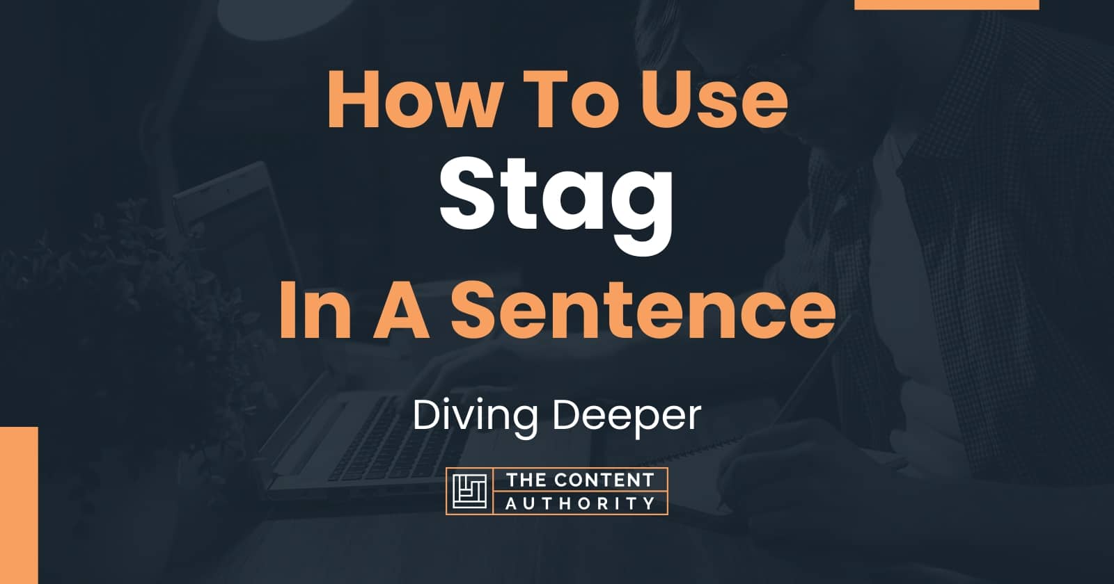 how-to-use-stag-in-a-sentence-diving-deeper