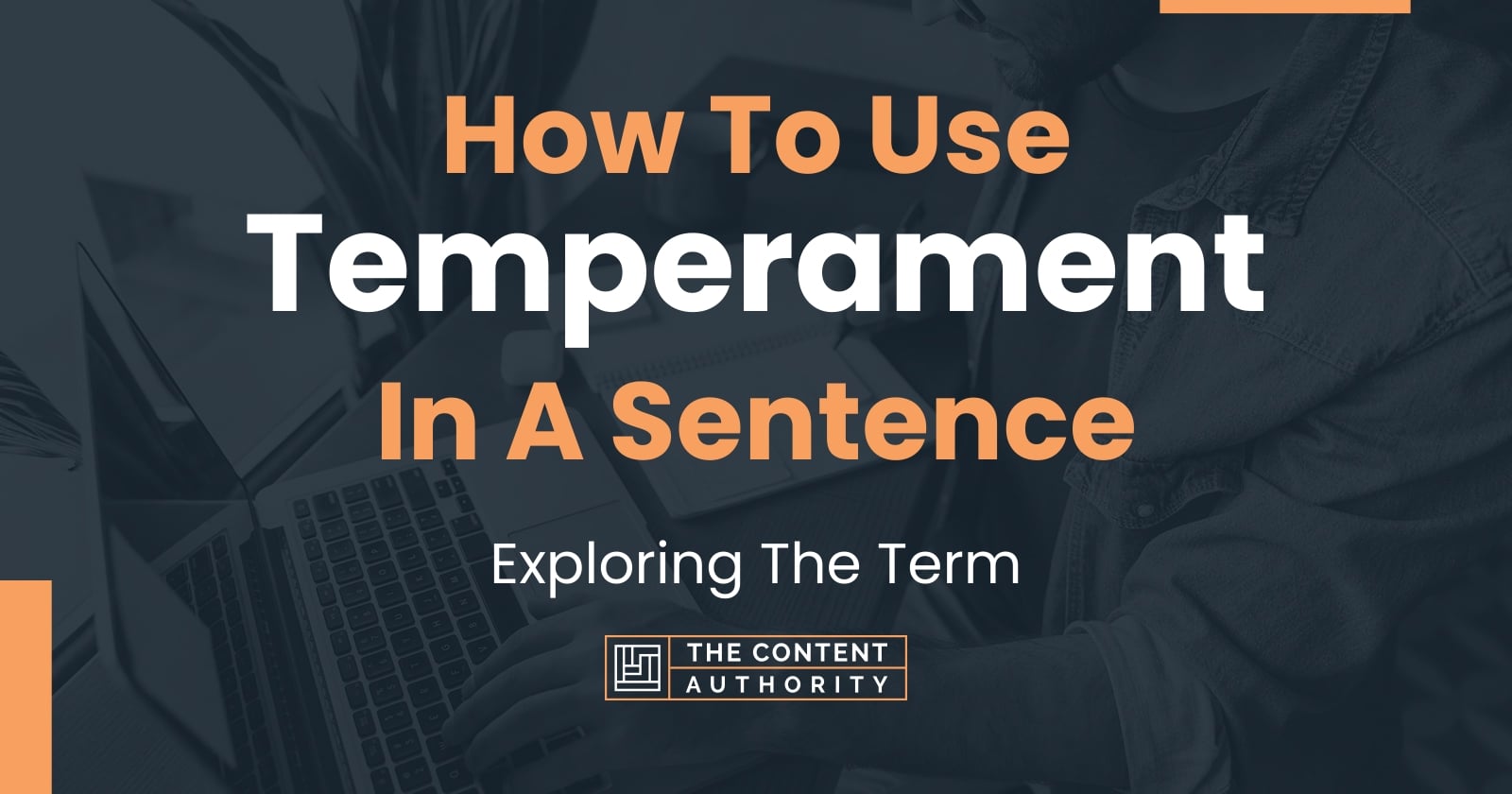 how-to-use-temperament-in-a-sentence-exploring-the-term