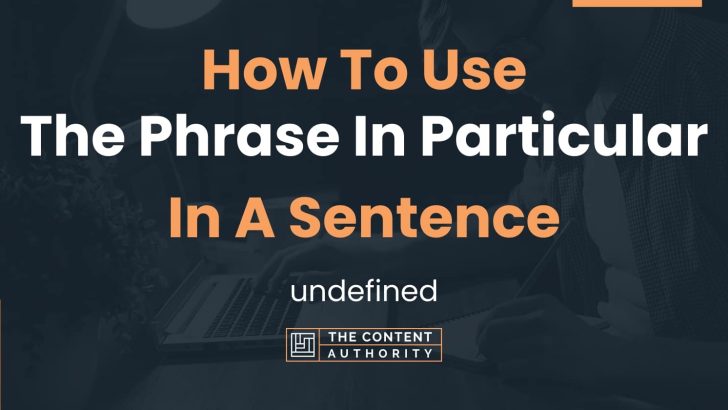 how-to-use-the-phrase-in-particular-in-a-sentence-undefined