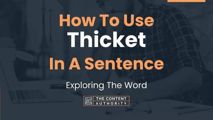 How To Use “Thicket” In A Sentence: Exploring The Word