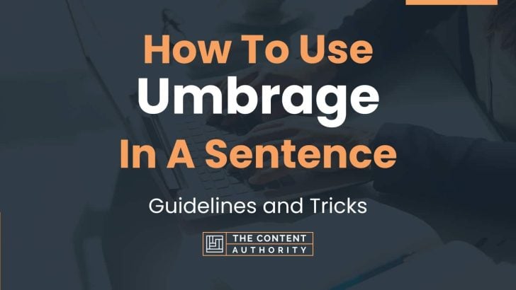 How To Use “Umbrage” In A Sentence: Guidelines and Tricks