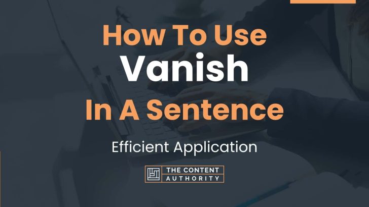 how-to-use-vanish-in-a-sentence-efficient-application