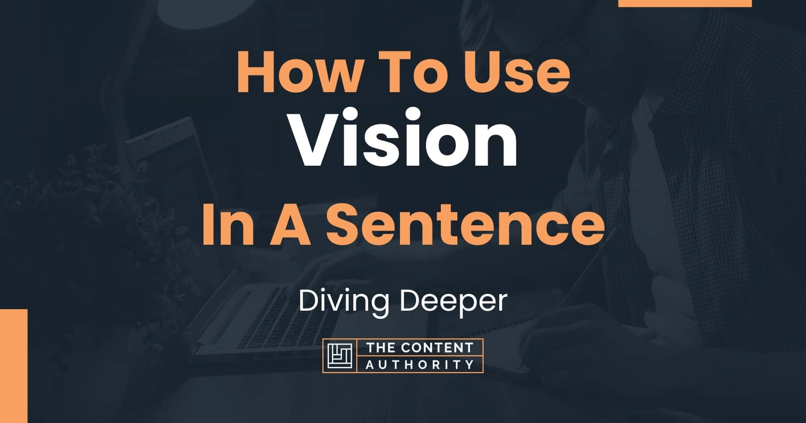 Use Vision In A Sentence