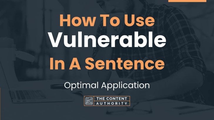 how-to-use-vulnerable-in-a-sentence-optimal-application