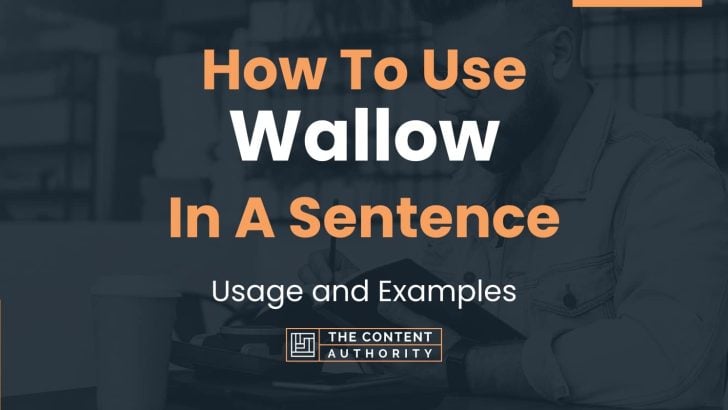 how-to-use-wallow-in-a-sentence-usage-and-examples