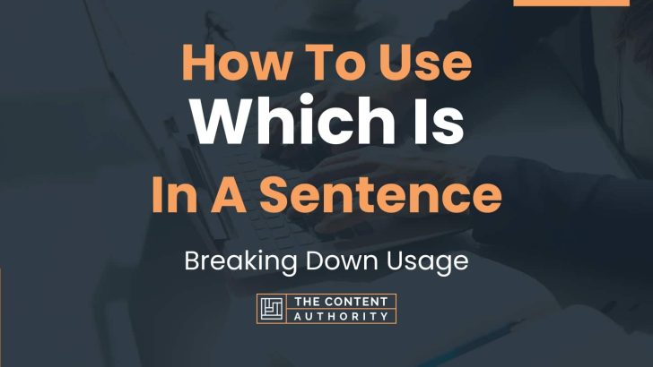 how-to-use-which-is-in-a-sentence-breaking-down-usage