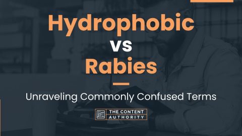 Hydrophobic vs Rabies: Unraveling Commonly Confused Terms