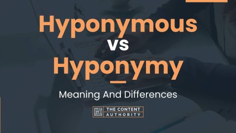 Hyponymous vs Hyponymy: Meaning And Differences