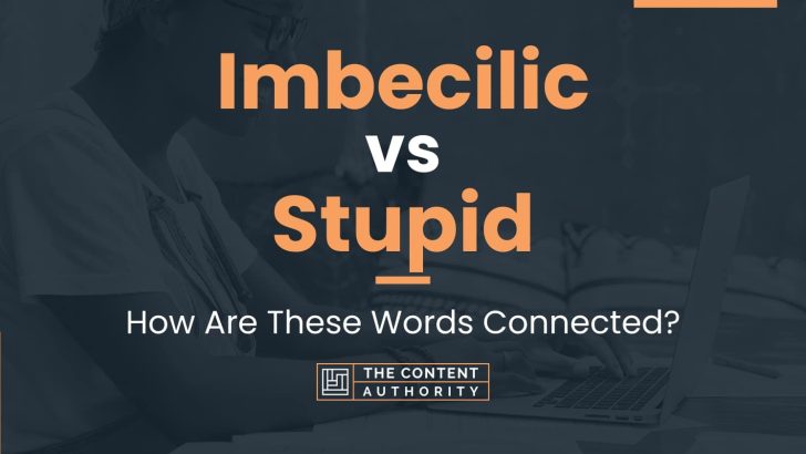 Imbecilic vs Stupid: How Are These Words Connected?