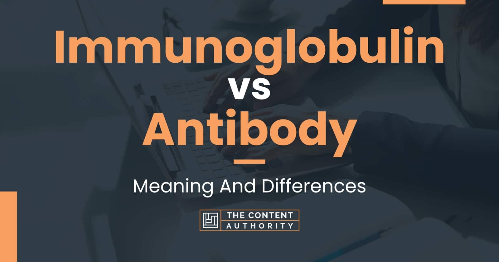 Immunoglobulin vs Antibody Meaning And Differences