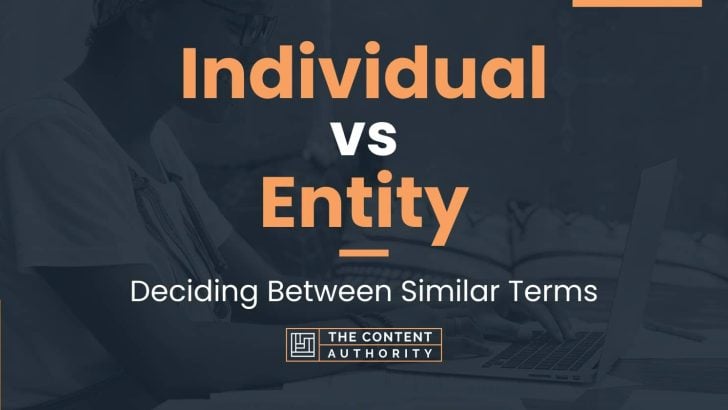 Individual vs Entity: Deciding Between Similar Terms