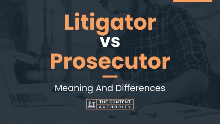 Litigator Vs Prosecutor: Meaning And Differences