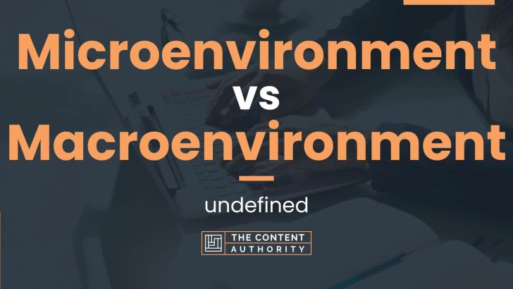 Microenvironment vs Macroenvironment: undefined