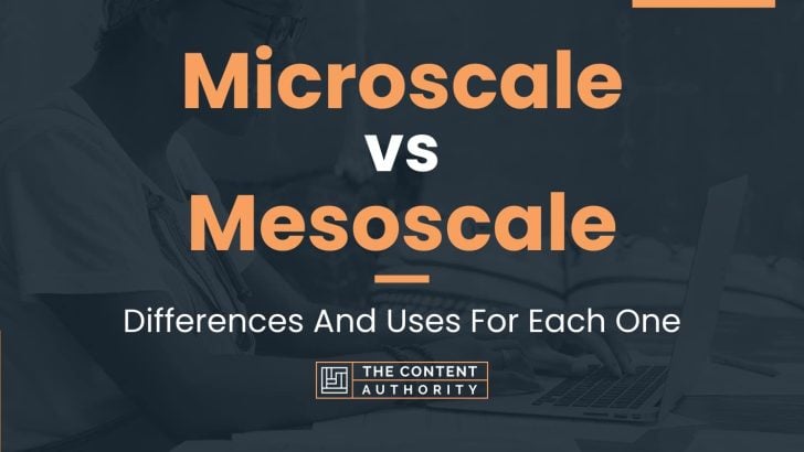 Microscale vs Mesoscale: Differences And Uses For Each One