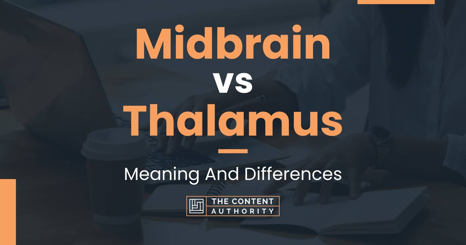 Midbrain vs Thalamus Meaning And Differences